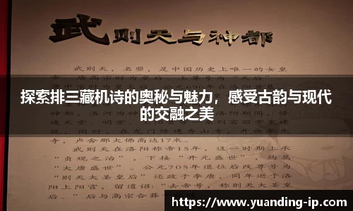 探索排三藏机诗的奥秘与魅力，感受古韵与现代的交融之美