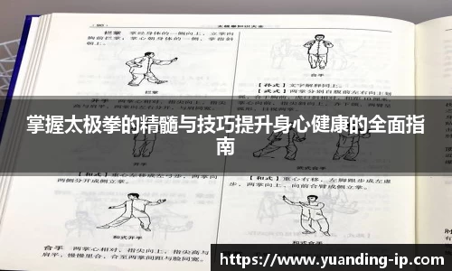 掌握太极拳的精髓与技巧提升身心健康的全面指南
